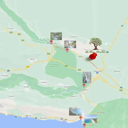 La Olivetree * Katuni