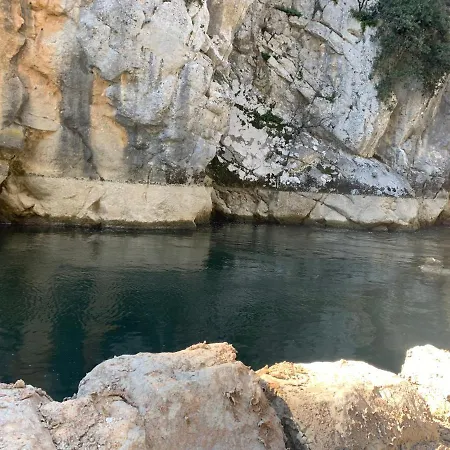 La Olivetree * Katuni