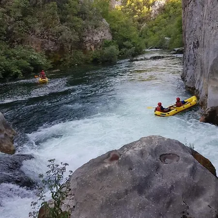 La Olivetree Villa *