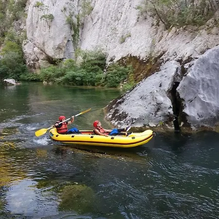 La Olivetree Villa *