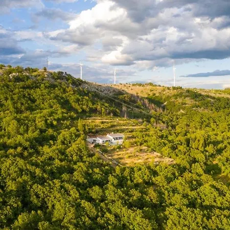 La Olivetree Villa *