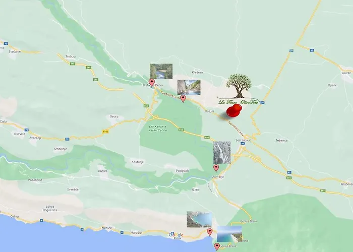 La Olivetree * Katuni