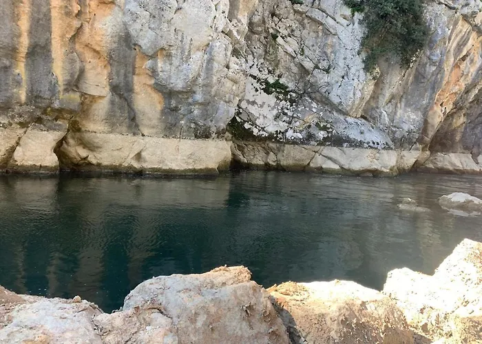 La Olivetree * Katuni