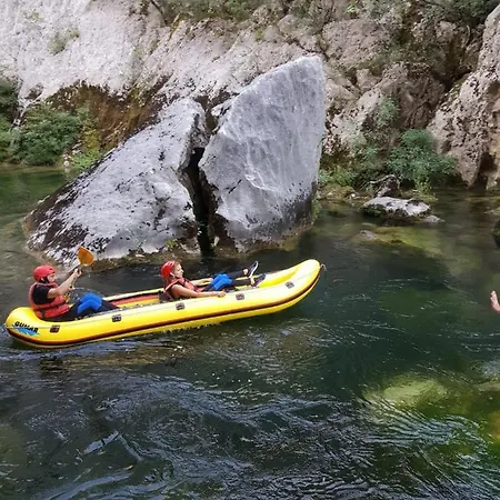 La Olivetree * Katuni