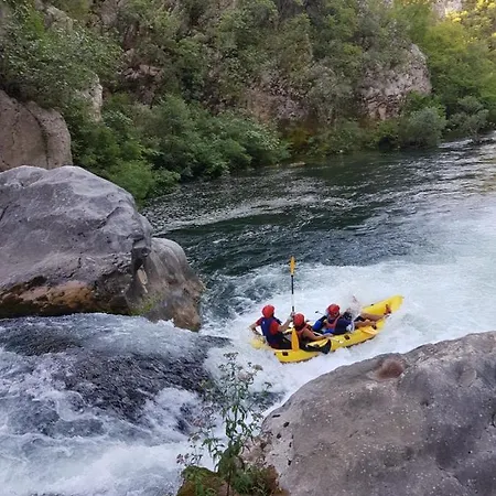 La Olivetree Vila Katuni
